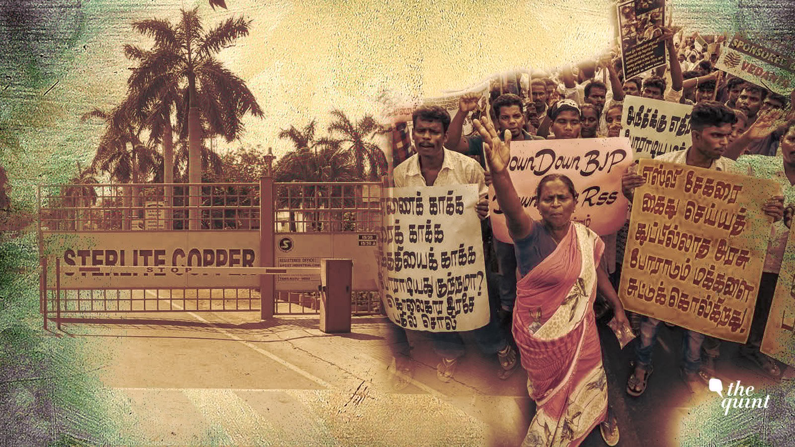 Sterlite’s Tuticorin Strategy Job Creation Trumps Green Laws The Quint