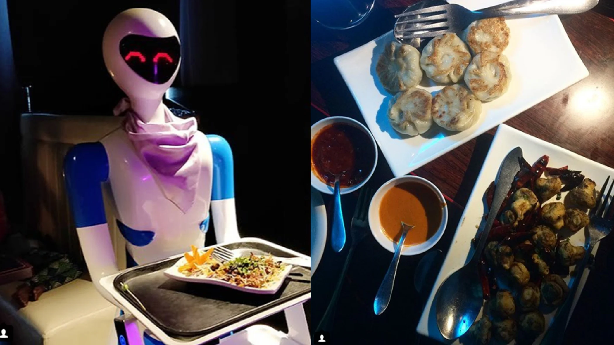 Watch Robots Serve Food in This Exotic Coimbatore Restaurant The Quint