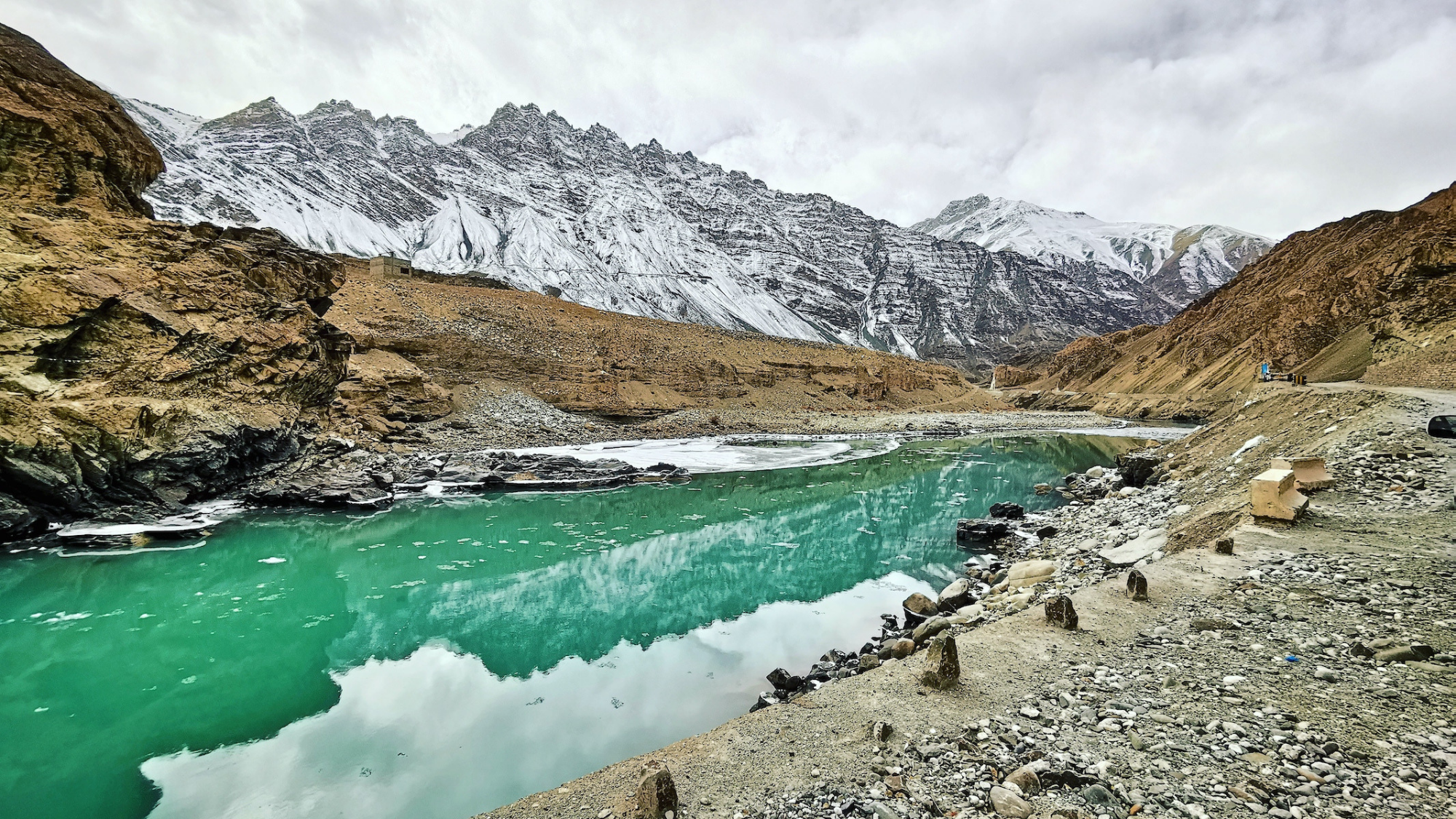 Leh-Ladakh Travelogue Watching a Snow Leopard