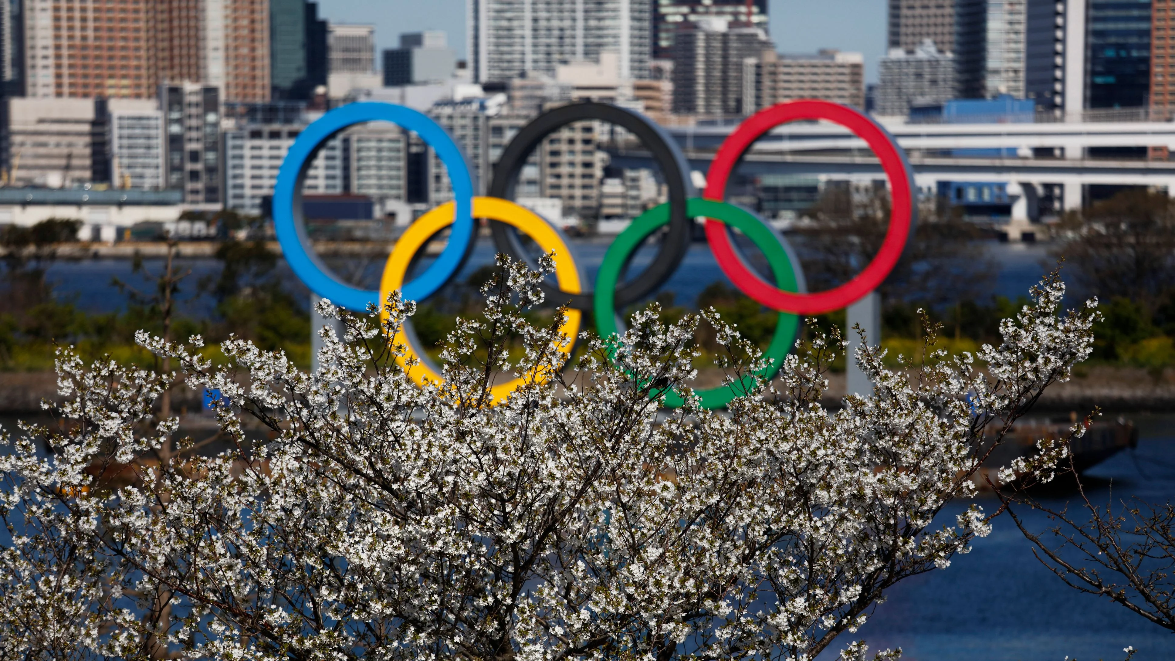 Tokyo Olympics FAQs: New Dates? Tickets Valid? Qualification? thumbnail