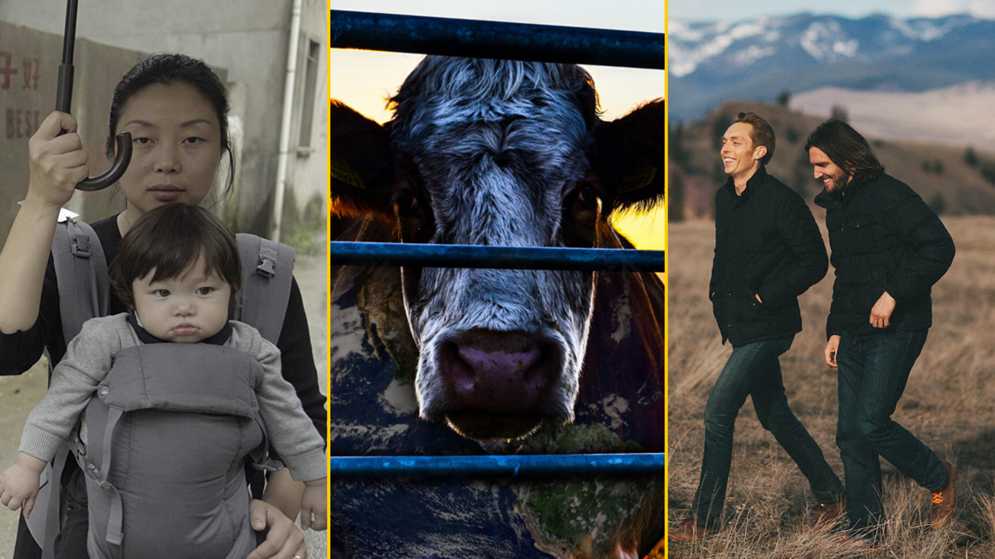 Top Documentaries on Netflix, Amazon Prime, and Hotstar Virus Hunters