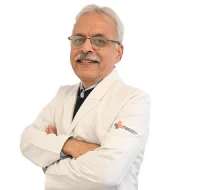 Dr Ashwini Setya