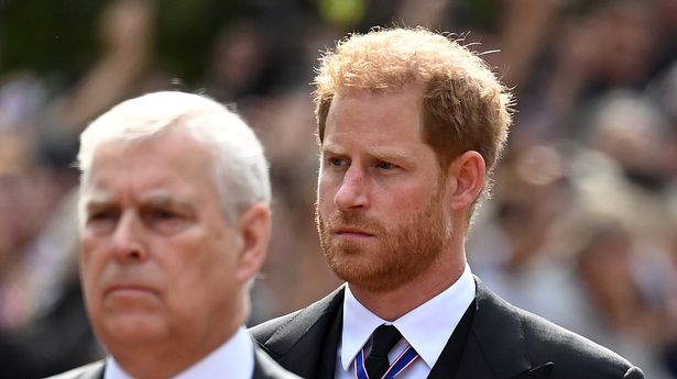 UK princes Harry and Andrew lose king stand-in role
