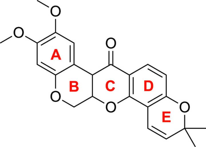 UP chemists modify anti-cancer compound to improve safety, efficacy