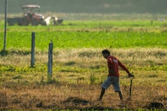 DA initiates aid, cloud-seeding operations in El Niño-hit areas
