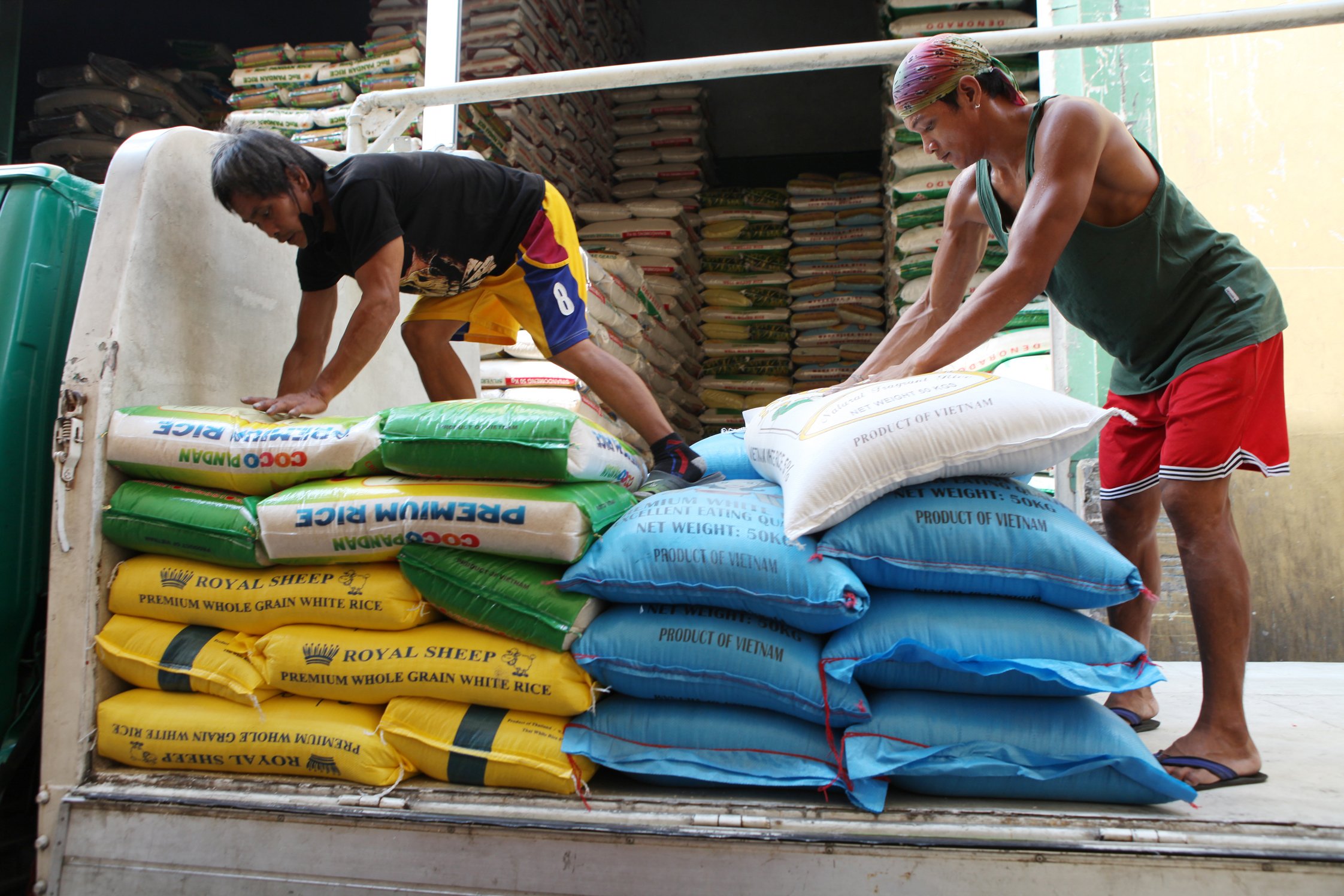 Rice import projections ‘not doing us any good,’ says farmer’s group