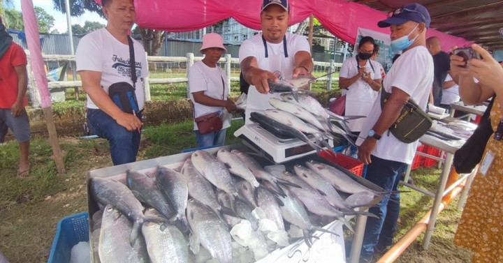 Bangus with microplastics still edible, says BFAR