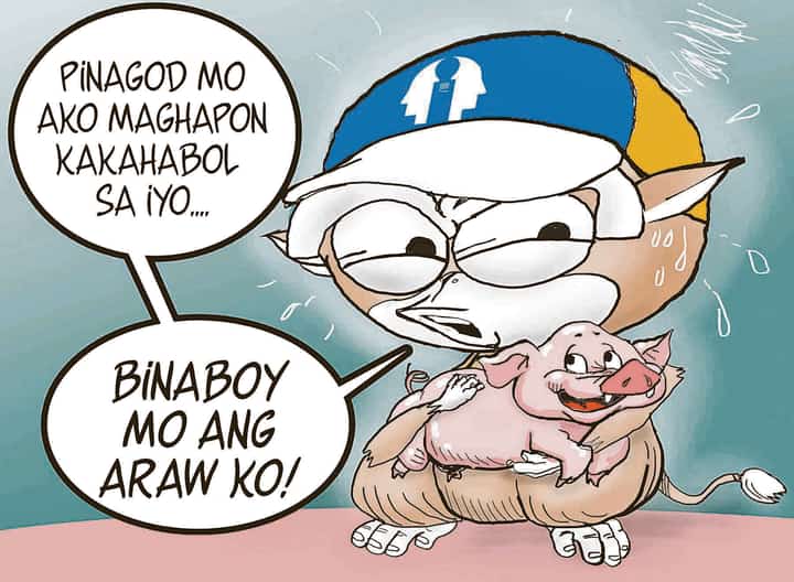 Porky party
