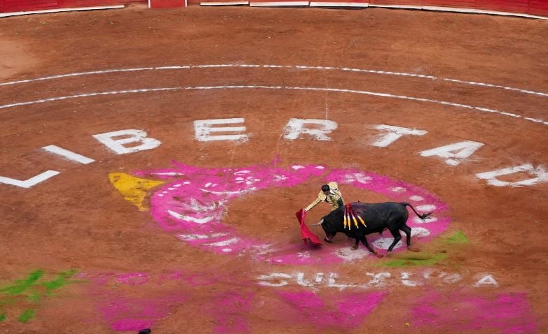 Mexico City bullfighting resumes amid protests