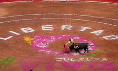 Mexico City bullfighting resumes amid protests