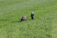 DA vows constant aid to NorMin farmers amid El Niño, shear line effects