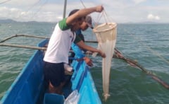 Red tide invades Milagros town