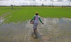 DBM hands farmers P10B in fuel, fertilizer aid