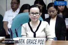 Senate hearing on Bulacan Airport City Special Economic Zone and Freeport Act