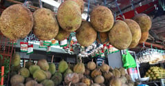 Phl fruit exports soared in 2023, says DA