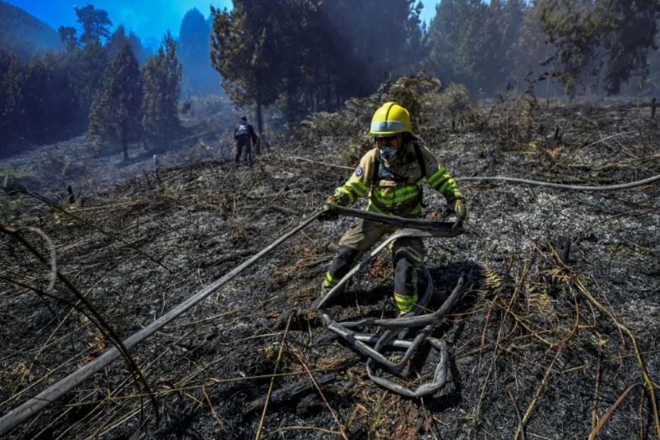 Colombia declares emergency over raging forest fires