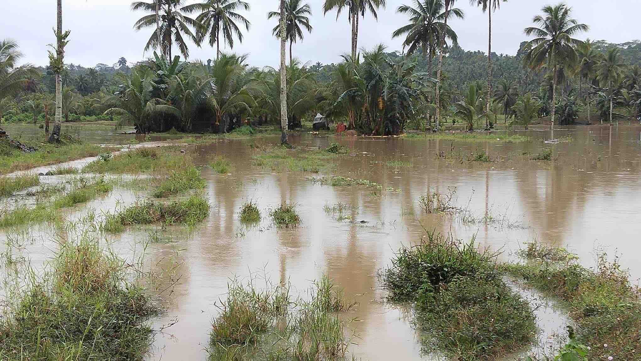 P145K agri-damage registered in Davao due to shear line