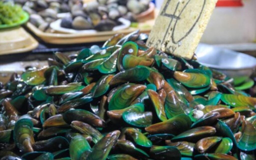 Some areas in Eastern Visayas positive for red tide