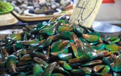 BFAR issues Vis-Min red tide warning