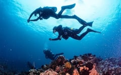 PBBM urges conservation efforts for Phl's diving destinations