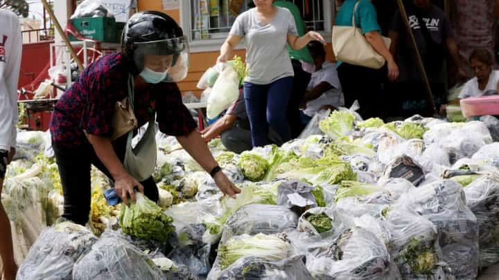 Vegetables from Benguet including radish, cabbage, and wombok or Chinese cabbage are being sold at a sari-sari store inside Provident Village in Marikina City for P20/kilo, on Tuesday 9 January 2024. The P20 per kilo price point is significantly lower than the current price of P50 to 90 per kilo in most wet markets in Metro Manila. Lynette Bernardo, the sari-sari store owner, said farmer friends from Benguet asked for help as the farmers have nowhere to bring the produce, since most wet markets in Metro Manila are already overflowing vegetables. Photo | Analy Labor.