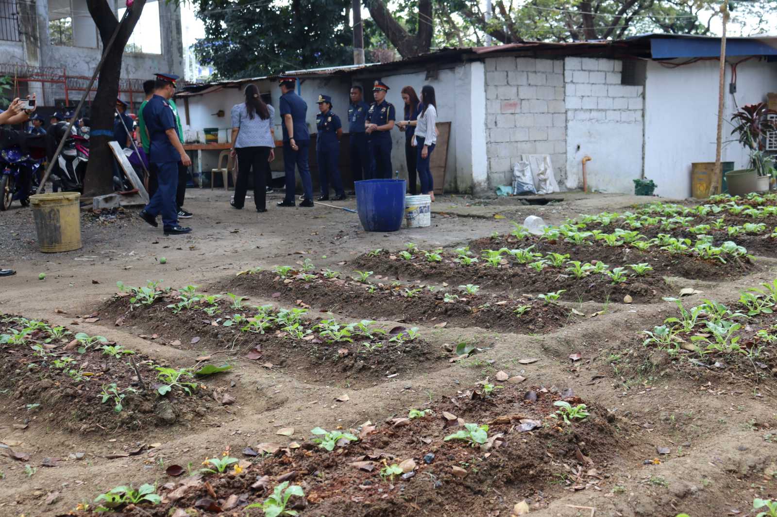QCPD launches 'Project Green' at Camp Karingal 
