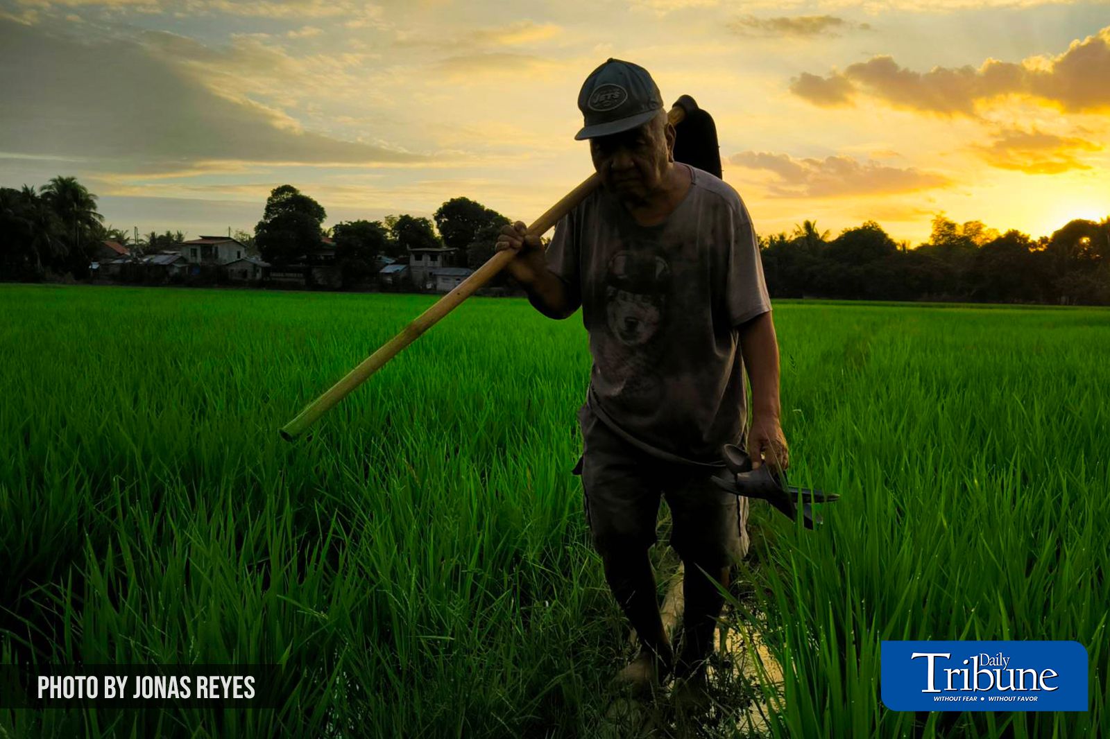 Morong farmer goes home after a day's work