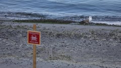 3 NATO members in mine clearing deal