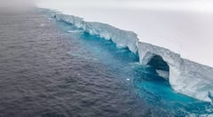 World’s biggest iceberg heads north