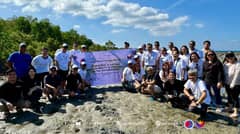 Mangrove planting towards sustainability