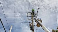 CA dismisses Palawan government petition against electric cooperative