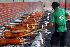 Local hog farmers eye world record