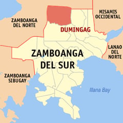 Zamboanga clash claims female insurgent leader