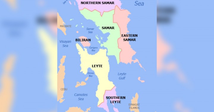 NPA cadre, member slain in Leyte town clash
