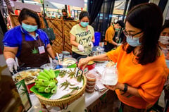 Thai government says will ban recreational cannabis use