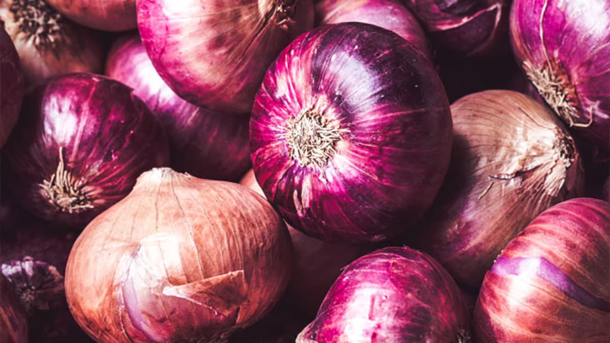Solon seeks probe on smuggled onions selling