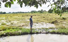 Agri damage due to weather disturbances hits P359-M