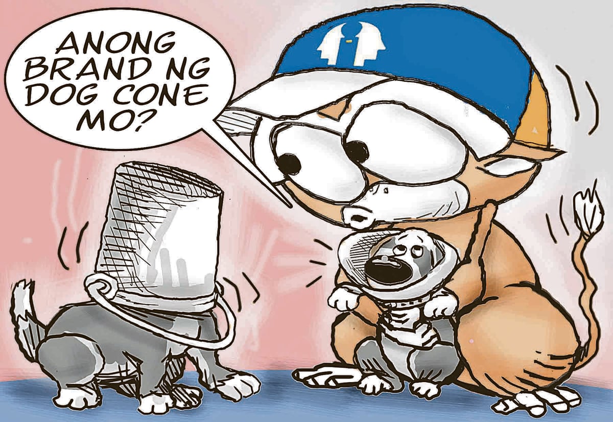 Contained canines