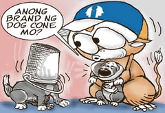 Contained canines