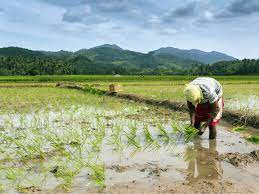 Cloud-seeding operations alleviate El Niño impact in Cagayan
