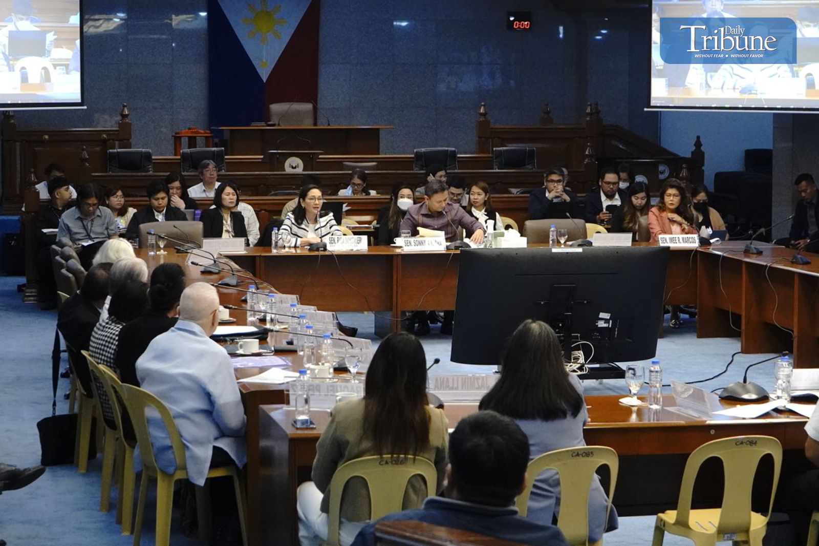 Senate panel conducts public hearing on charter change