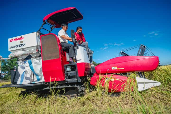 Driving agriculture forward President Ferdinand Romualdez Marcos Jr. tries his hand at operating a rice combine harvester, or RCH, during a ceremonial harvesting event and distribution of assistance at Barangay Mandili, Candaba, Pampanga on 3 February. The RCH is said to be ‘climate change resilient and suitable for local conditions and for major rice producing areas,’ says a government site.