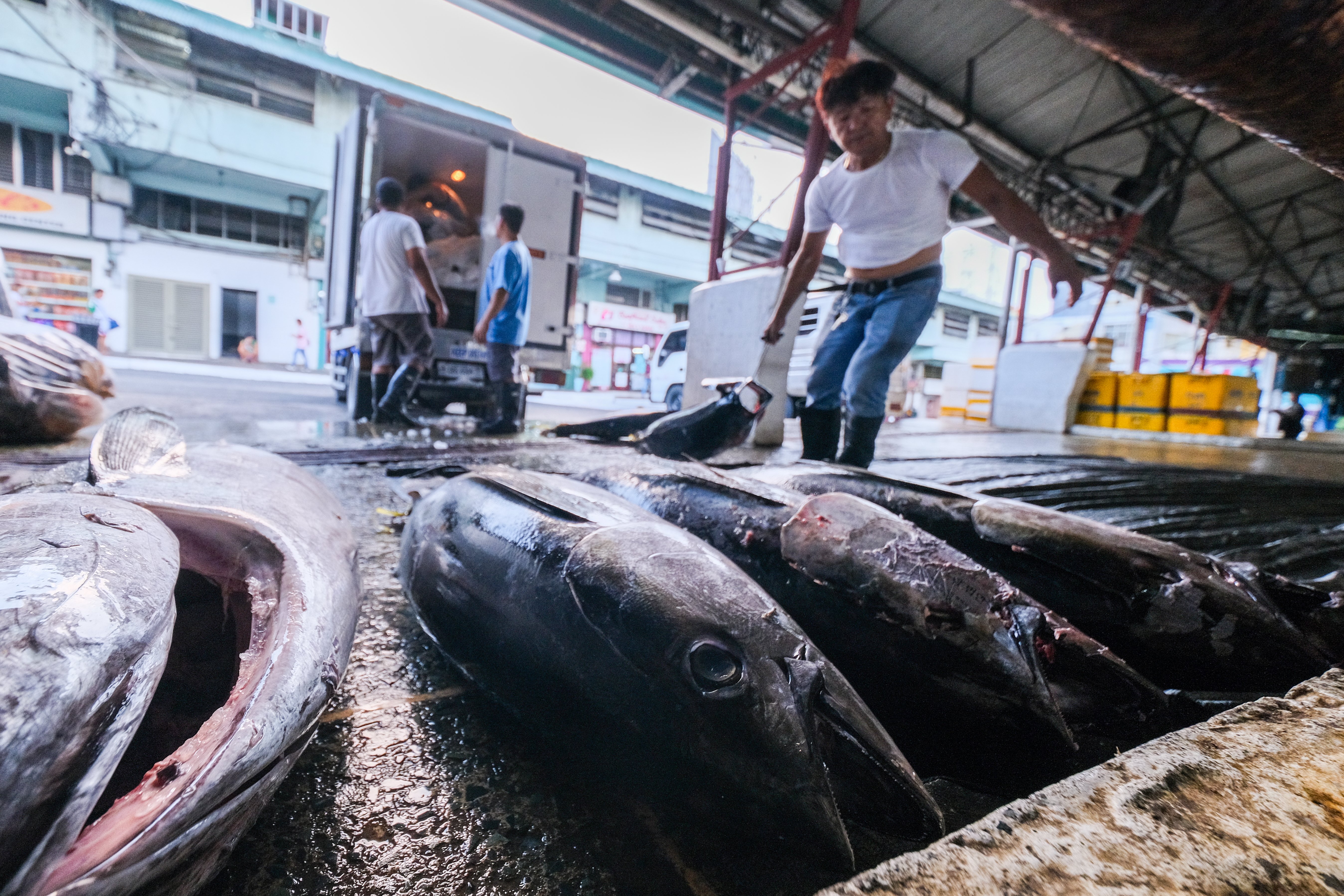 Philippines, Brunei forge agri-fisheries trade deal