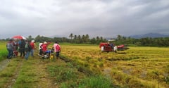 DA optimistic on cheaper rice program sustainability