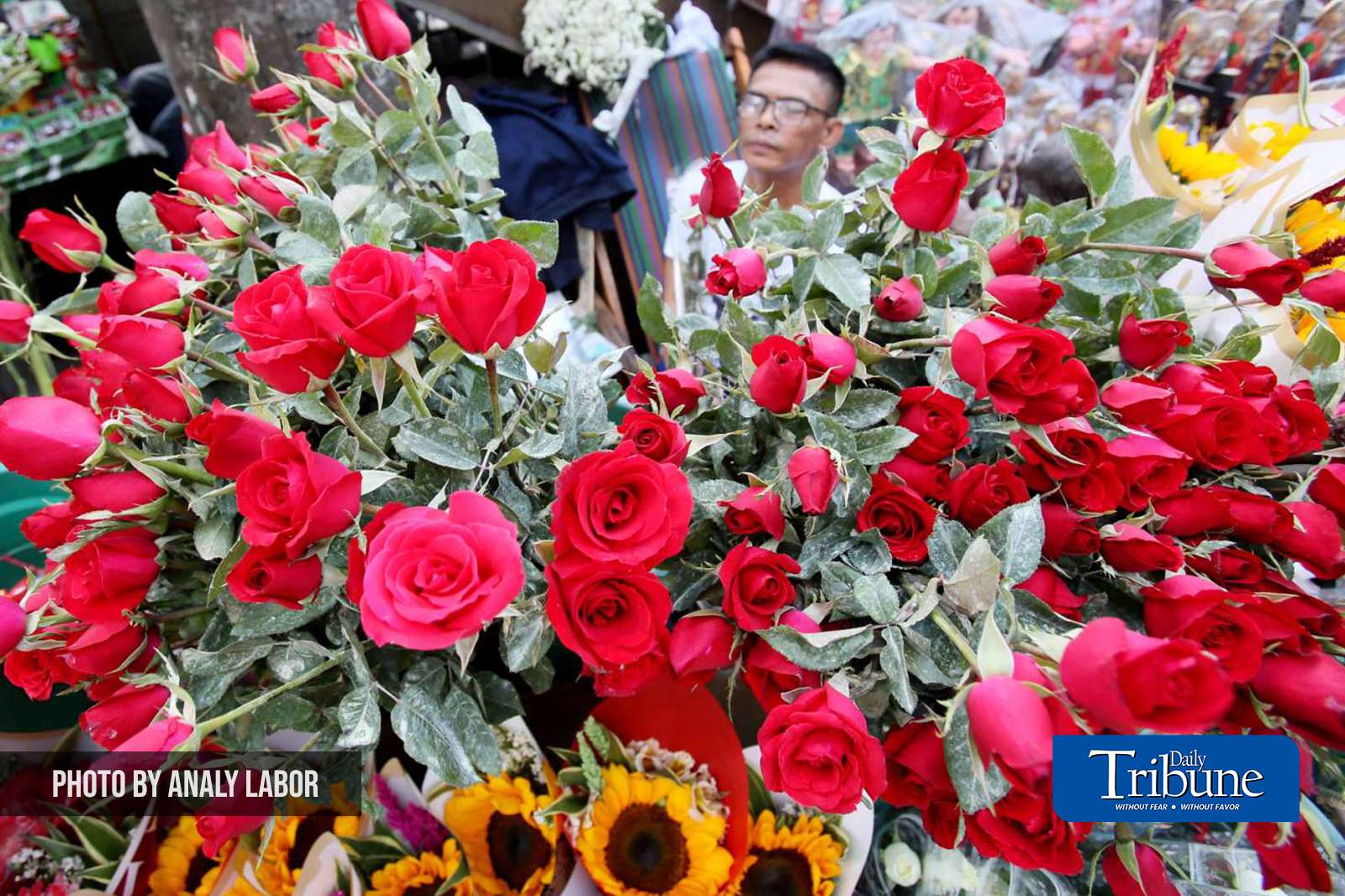Red roses for sale