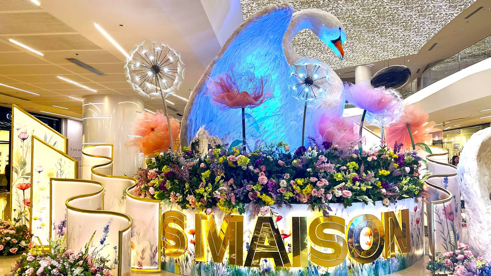 S Maison