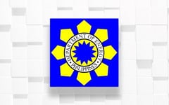 DoE urged: Develop small renewable energy sources