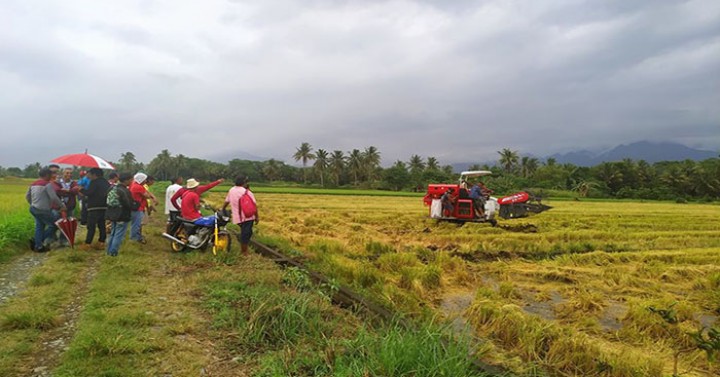 DA to give over P1-M aid to VisMin farmers affected by El Nino