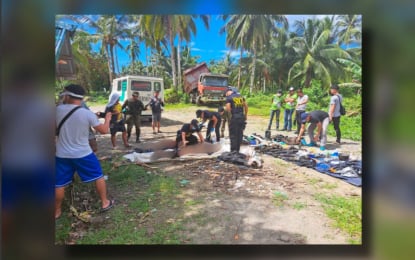 Leyte clash: 2 NPA members slain