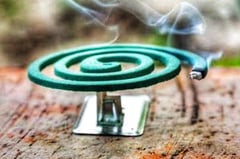 Phl logs fewer dengue cases in Jan